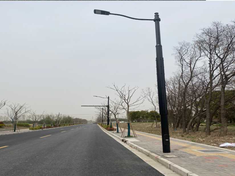 苍梧县上海综合杆 太阳能路灯工程